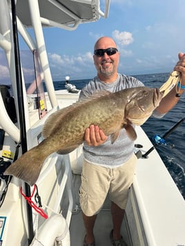 Gulf Reef Fishing