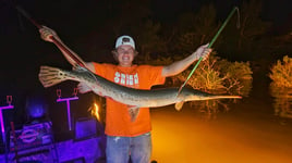 Missouri Bowfishing