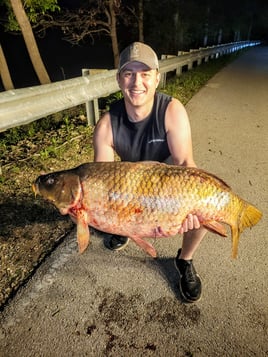 Missouri Bowfishing