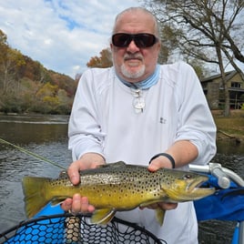 Guided Trout Fishing Trips