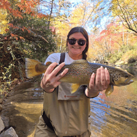 Guided Trout Fishing Trips