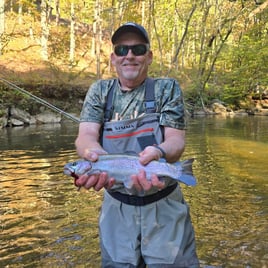 Guided Trout Fishing Trips