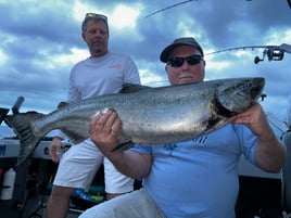 Platte Bay Coho