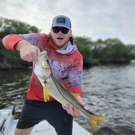 Snook Fishing in Ruskin, Florida