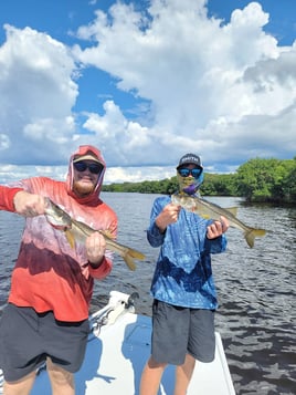 Snook Fishing in Ruskin, Florida