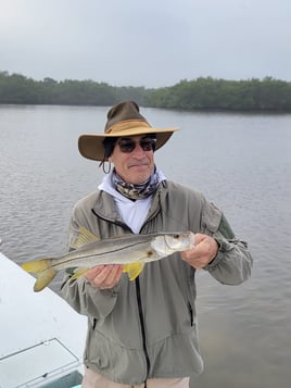 Snook Fishing in Ruskin, Florida