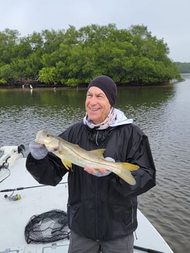 Snook Fishing in Ruskin, Florida