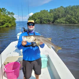 Snook Fishing in Ruskin, Florida