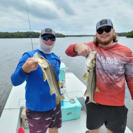 Snook Fishing in Ruskin, Florida