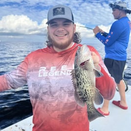 Gag Grouper Fishing in Ruskin, Florida