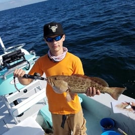 Gag Grouper Fishing in Ruskin, Florida