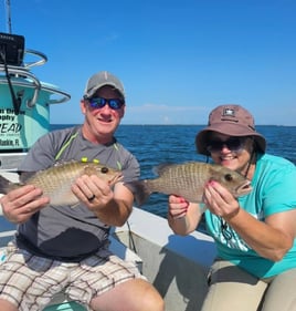 Mangrove Snapper Fishing in Ruskin, Florida