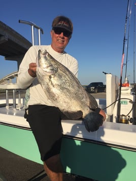 XL Tripletail, Tarpon & Redfish