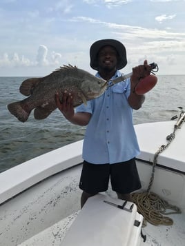 Tripletail Fishing in Apalachicola, Florida