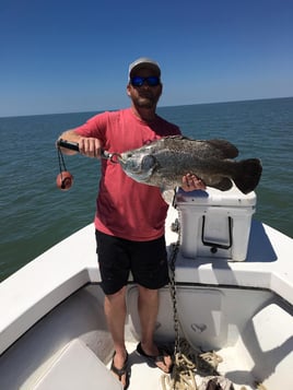 3 Hour Trip – Tripletail