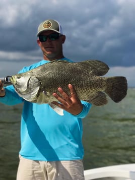 3 Hour Trip – Tripletail