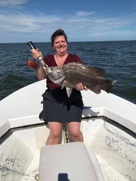 Tripletail Fishing in Apalachicola, Florida