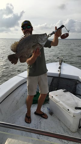 3 Hour Trip – Tripletail