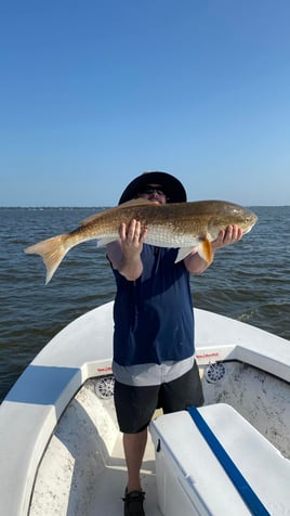 Redfish Fishing in Apalachicola, Florida