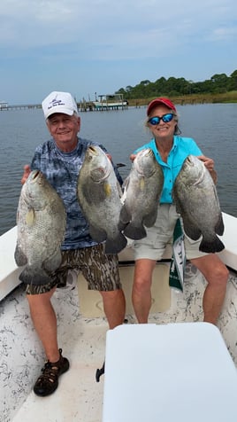 Tripletail Fishing in Apalachicola, Florida