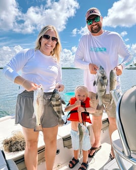 Black Drum, Redfish Fishing in Clearwater, Florida