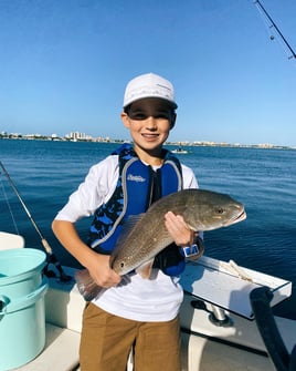 Redfish Fishing in Clearwater, Florida