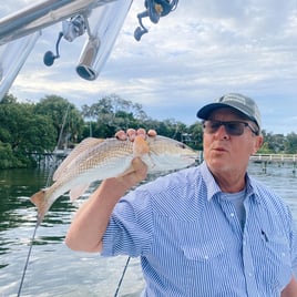 Redfish Fishing in Clearwater, Florida