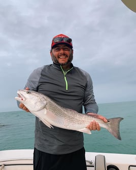 Redfish Fishing in Clearwater, Florida