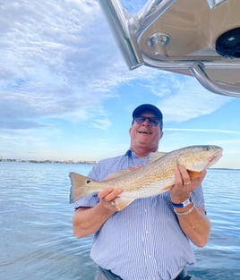 Redfish Fishing in Clearwater, Florida