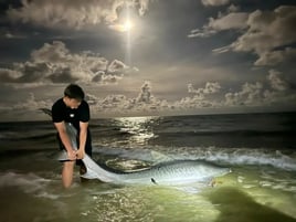 Tiger Shark Fishing in Rosemary Beach, Florida