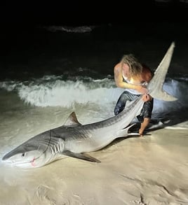 12 Hour Land Based Shark Fishing Trip!