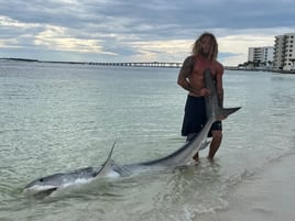 Tiger Shark Fishing in Rosemary Beach, Florida