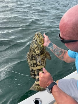 Goliath Grouper Fishing in Big Pine Key, Florida