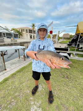 Big Pine Key Bay Trips: Fly or Light Tackle