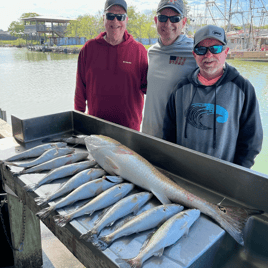 Redfish, Speckled Trout Fishing in Texas City, Texas