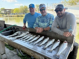 Black Drum, Speckled Trout Fishing in Texas City, Texas