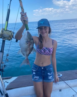 Triggerfish Fishing in Destin, Florida