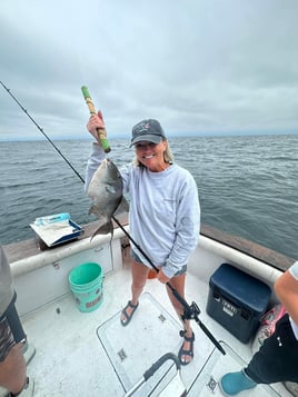 Triggerfish Fishing in Destin, Florida