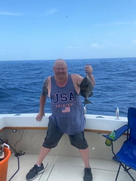 Triggerfish Fishing in Destin, Florida