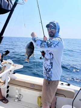 Triggerfish Fishing in Destin, Florida