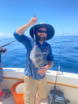 Triggerfish Fishing in Destin, Florida