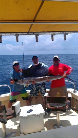 Sailfish Fishing in