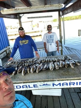 “Marsh Treasures: Redfish, Trout, and Bayou Thrills”  Sport