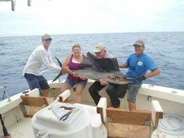 Marlin fishing offshore adventure