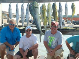 Marlin fishing offshore adventure