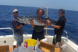 Marlin fishing offshore adventure