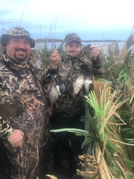 Delacroix Island Duck hunts