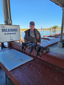 Delacroix Island Duck hunts