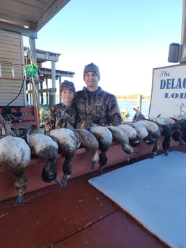 Delacroix Island Duck hunts