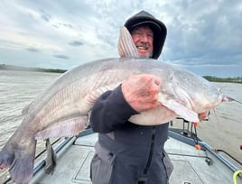 Tennessee River Catfishing